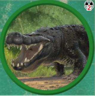 Feymire Crocodile.png|cover hsmall