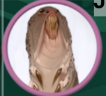 Janissary.png|cover hsmall